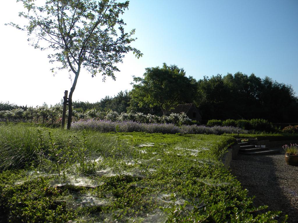 Dikkelvenne Petrus Wittebrood Hoeve מראה חיצוני תמונה