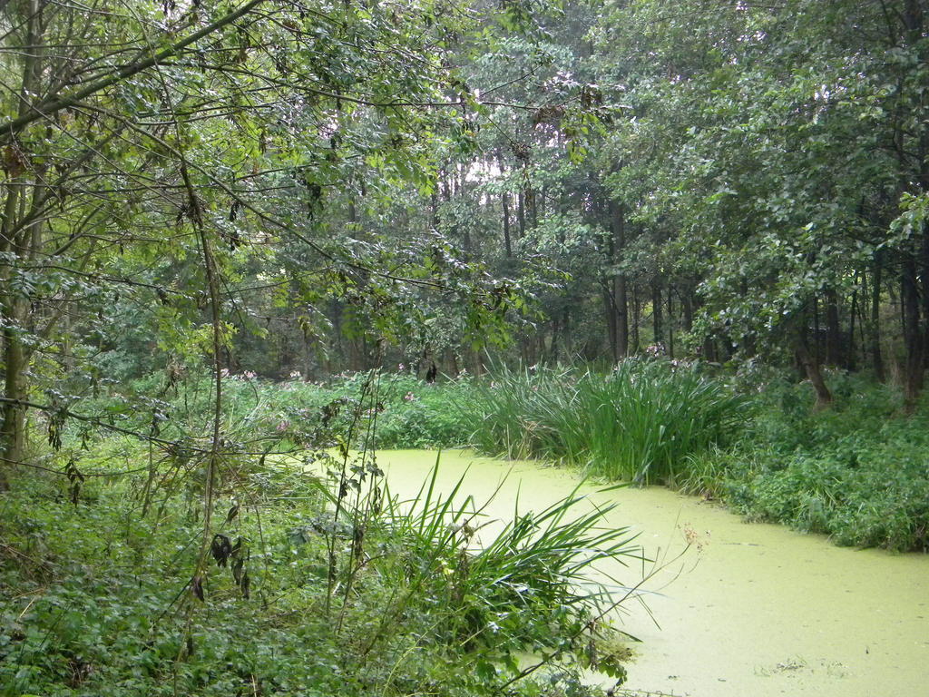 Dikkelvenne Petrus Wittebrood Hoeve מראה חיצוני תמונה